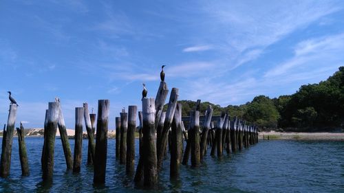 Wooden posts in lake against sky