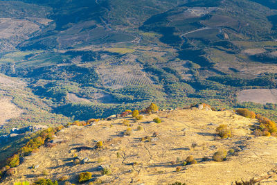Aerial view of landscape