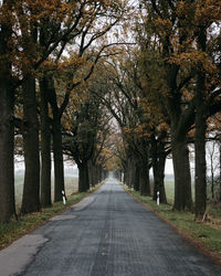 Road amidst trees in park during autumn