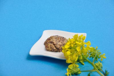 Close-up of food served in plate against blue background