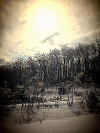 Scenic view of landscape against cloudy sky