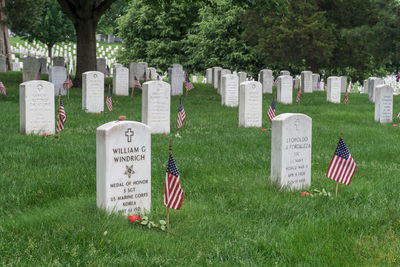 Row of flags against plants at cemetery