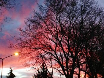 Low angle view of silhouette bare trees against sky