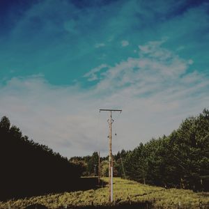 Trees on field against sky