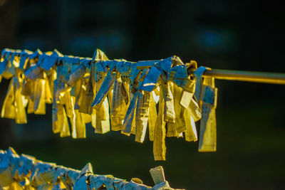 Close-up of clothespins hanging on railing