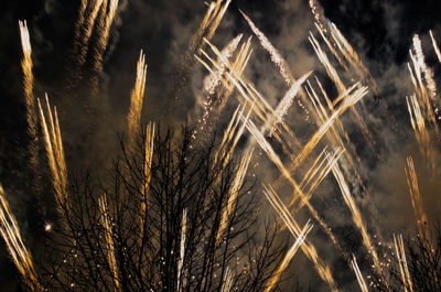 Close-up of illuminated plants against sky at night