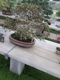 High angle view of empty bench in park