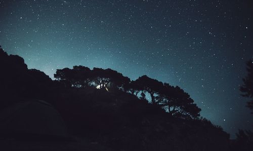 Low angle view of silhouette trees against sky at night