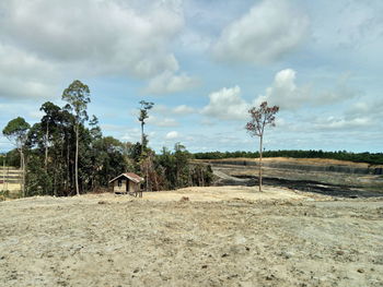 Trees on field against sky