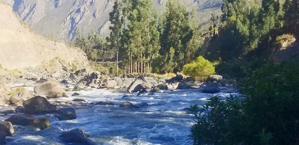 Scenic view of waterfall