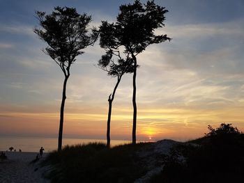 Silhouette tree by sea against sky during sunset