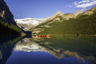 Reflection of plants in calm lake