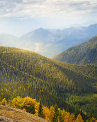 Rolling mountains pedley pass in fall, british columbia, canada