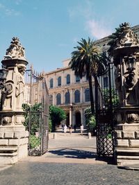 Palm trees with buildings in background