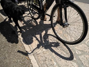 Shadow of a bicycle on a street