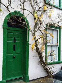 Closed door of house