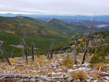 Scenic view of landscape against sky