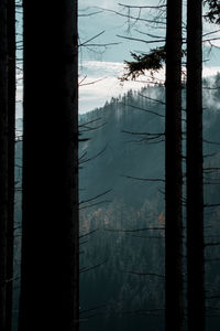 Scenic view of lake