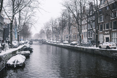 Canal amidst bare trees in city during winter