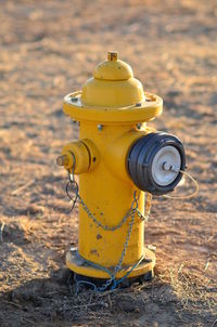 Close-up of fire hydrant on field