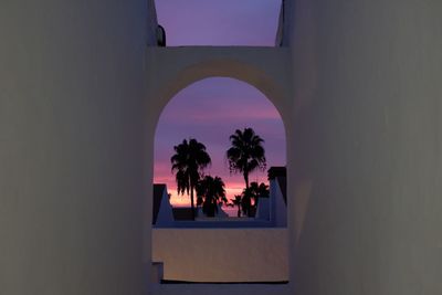 Silhouette palm trees against sky seen through window