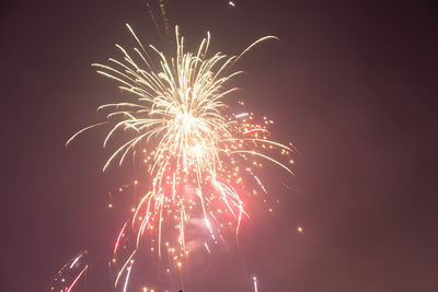 Low angle view of firework display at night