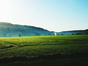 Scenic view of field against clear sky