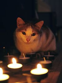 Close-up of lit candle