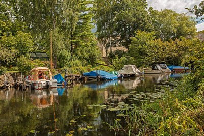 Boats moored in lake against trees in forest