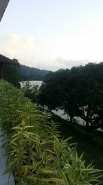 Scenic view of green mountains against sky