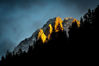Low angle view of silhouette trees against sky at night