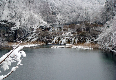 Frozen river against trees during winter