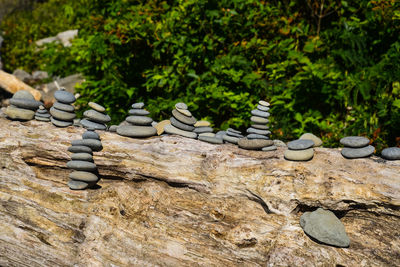 Close-up of chess pieces on tree trunk