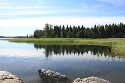 Reflection of trees in calm lake