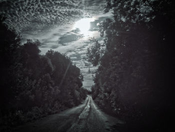 Empty road along trees