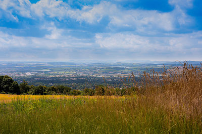 Scenic view of field against sky