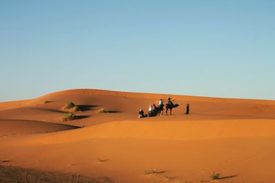 People riding in desert against clear sky