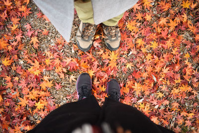 Low section of man standing on autumn leaves