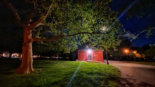 Illuminated trees on field at night