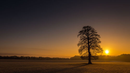 Silhouette tree against sky during sunset