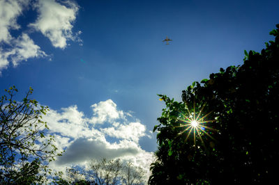 Low angle view of palm tree against sky