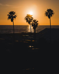 Silhouette palm trees by swimming pool against sky during sunset