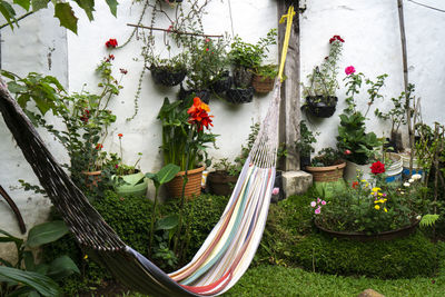 Colorful striped hammock hanging in the garden area for resting. patio, terrace with plants