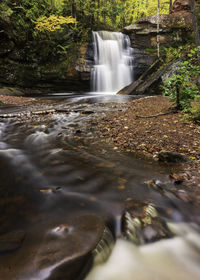 Waterfall in forest