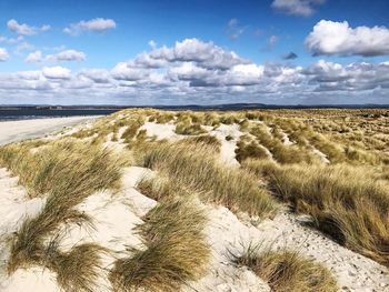 Scenic view of beach against sky