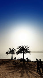 Silhouette palm trees on beach against clear sky