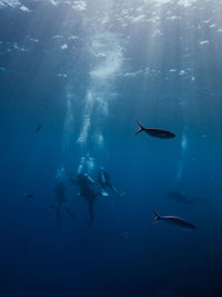 People swimming in sea