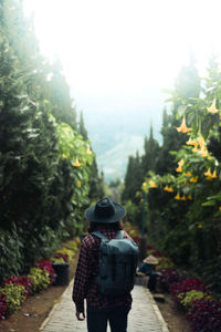 The man with the backpack among the pine trees