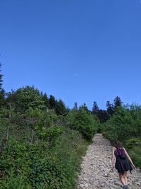 Rear view of woman walking on dirt road against clear blue sky