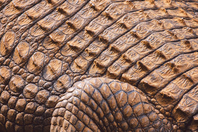 close-up
